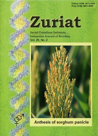 http://doi.org/10.24198/zuriat.v29i2