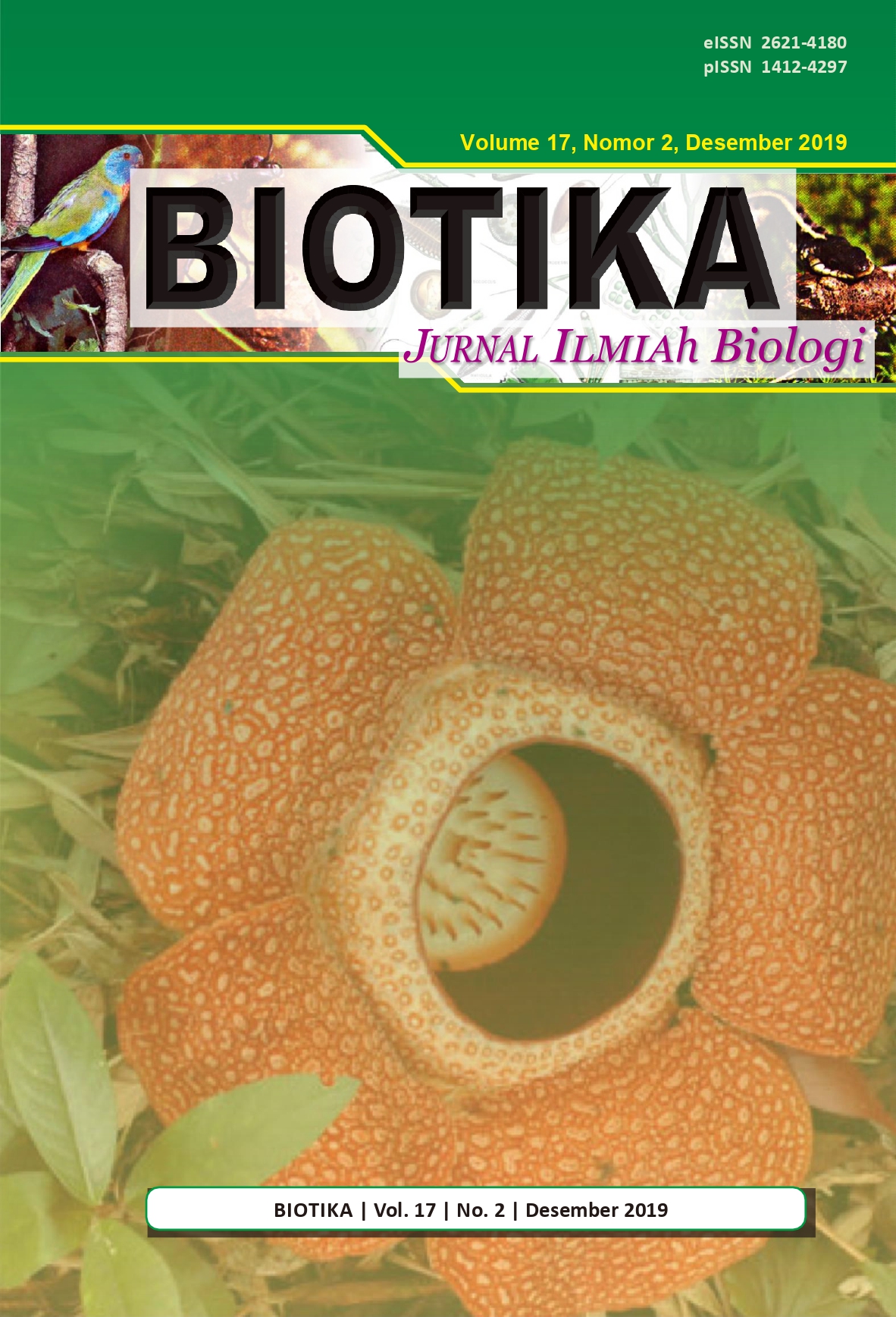 Halaman Sampul