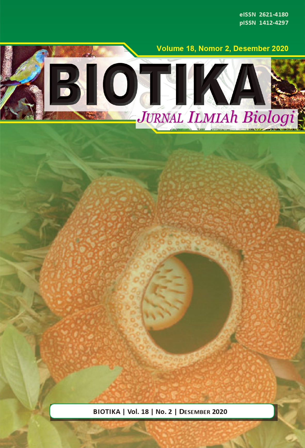Halaman Sampul
