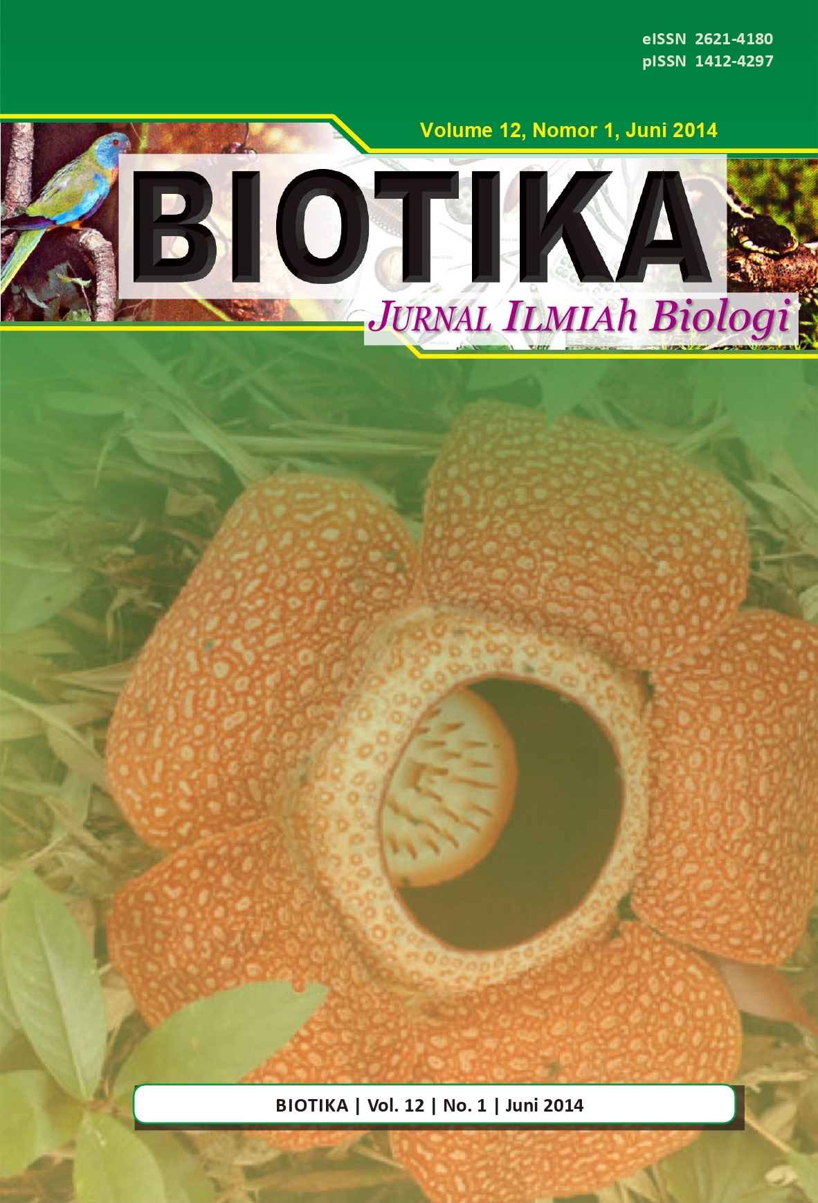 Halaman Sampul