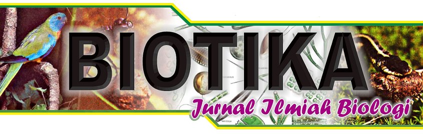 Header Halaman